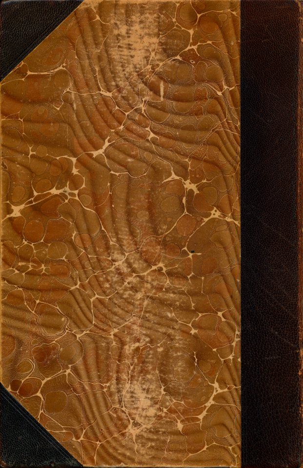 Marbled paper from cover of Keppler, Wanderfahrten und Wallfahrten (1895) 500ppi