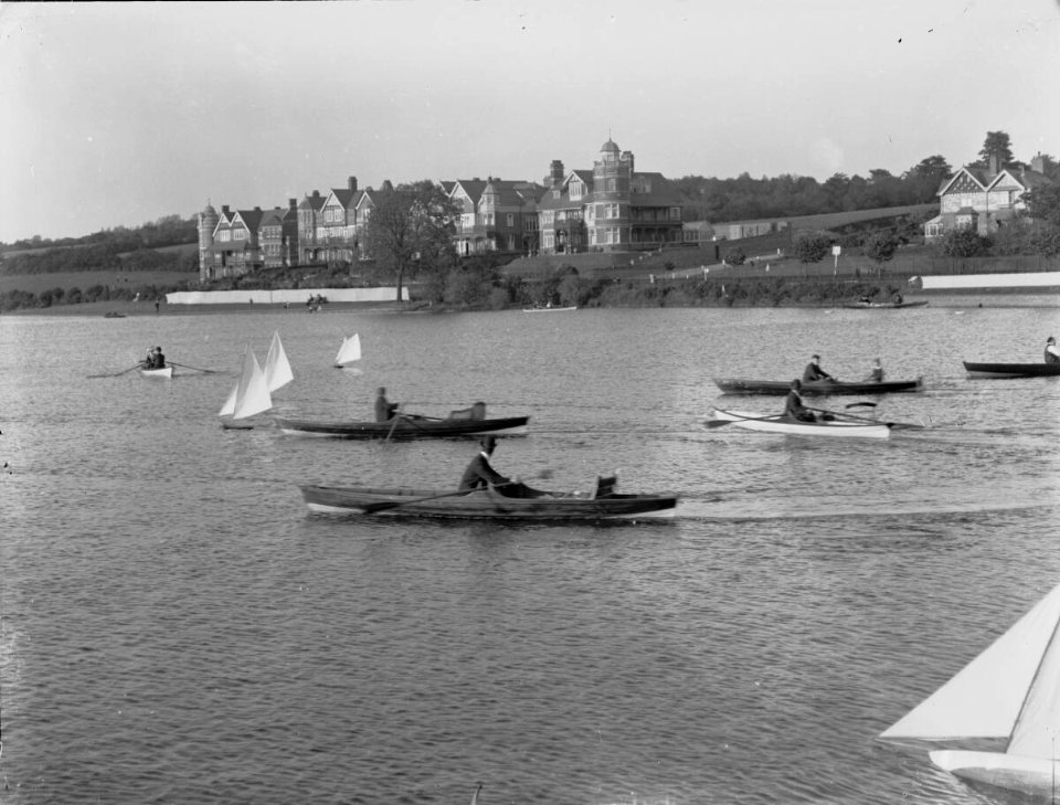 Lake & Houses, Roath Park (4641631)