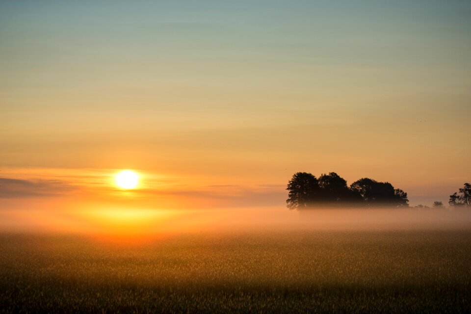 Landscape nature morgenstimmung