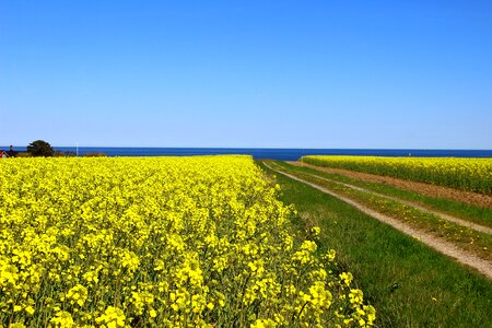 Landscapes go baltic