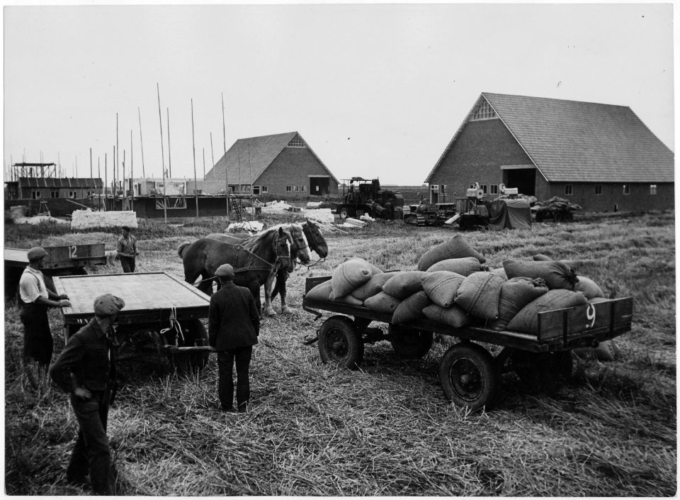 Land reclamation Netherlands