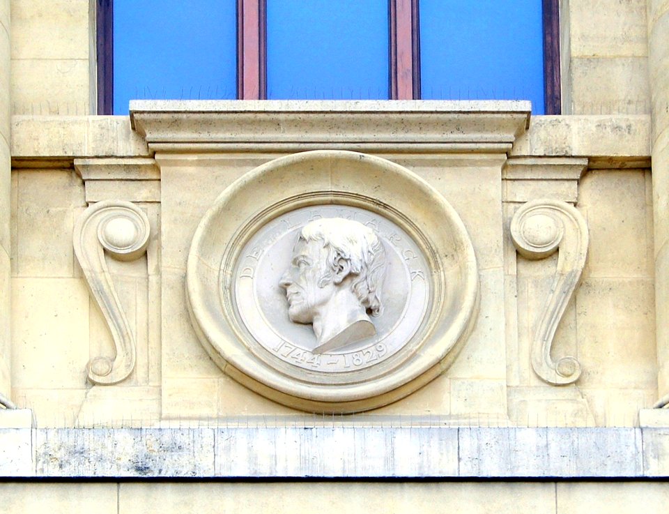 Lamarck 6 médaillon galerie évolution MNHN