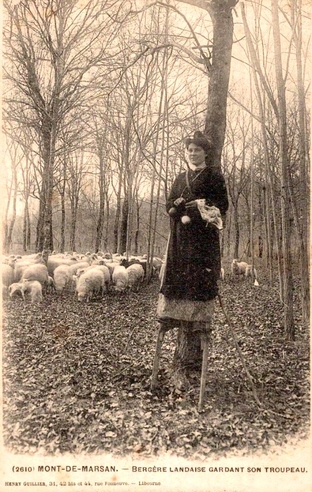 Landes - Bergère
