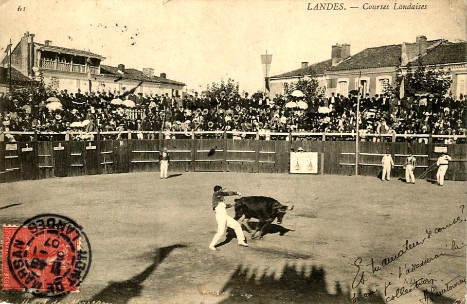 Landes - Courses Landaises 1
