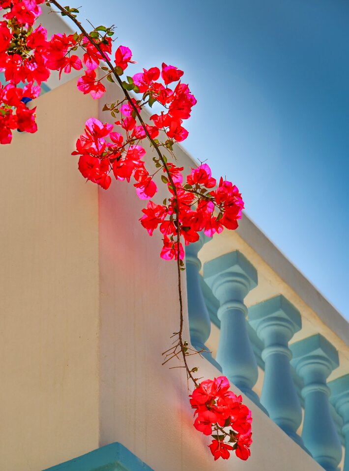 Nature greece karpathos