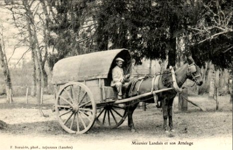 Landes - Meunier