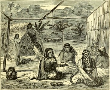 Mapuche family 1876