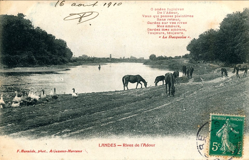 Landes - Rives de l'Adour b