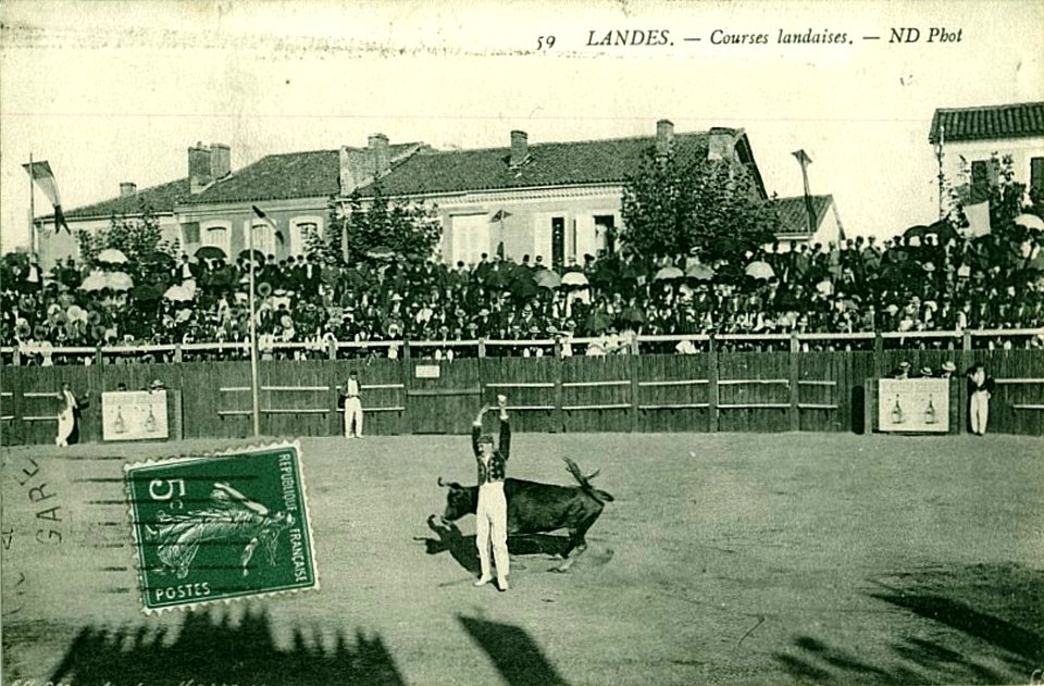 Landes - Courses Landaises 3
