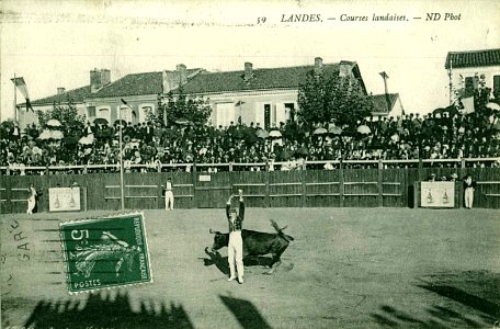 Landes - Courses Landaises 3