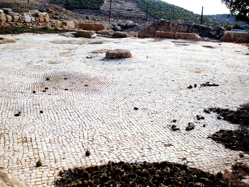 Mar Elias mosiac floor