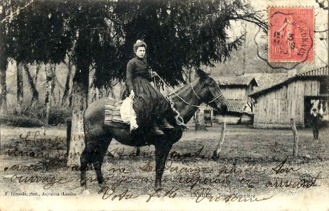Landes - Meunière b