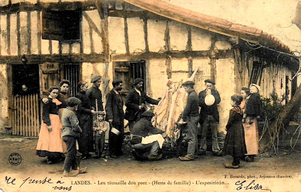 Landes - Tuer le cochon 1