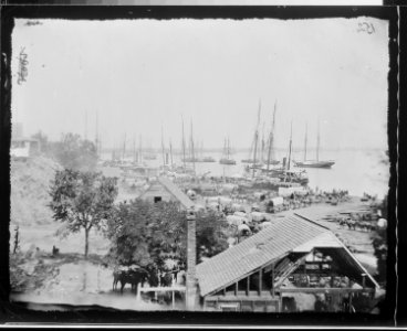 Landing supplies at City Point, Va., 1864-5 - NARA - 524571