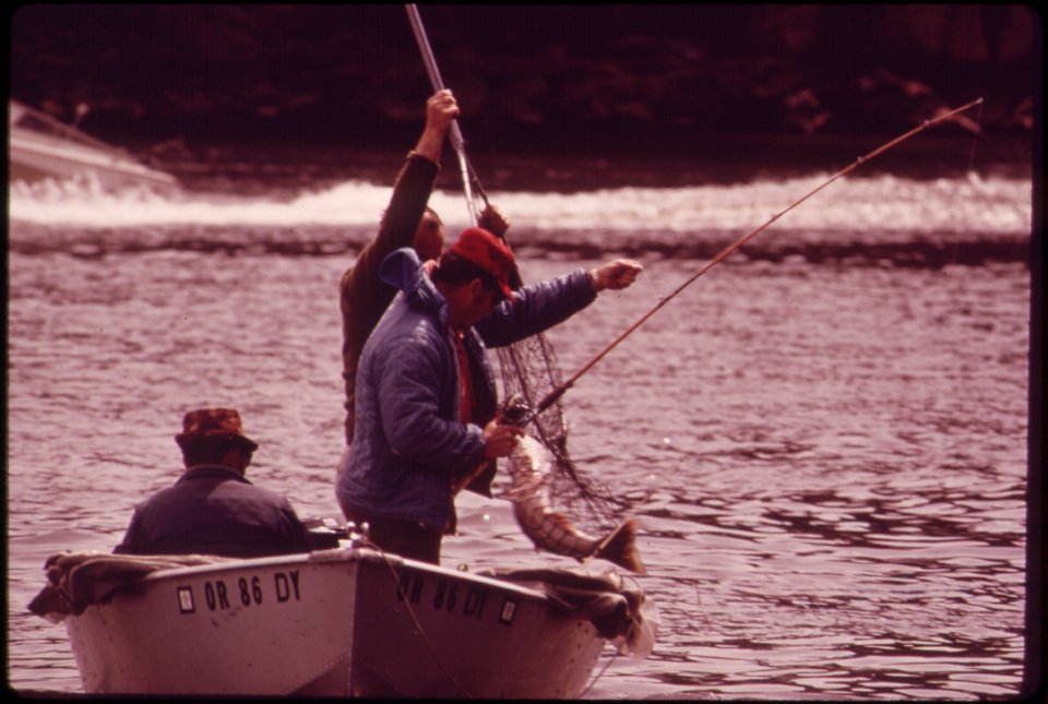 Landing-a-chinook-salmon-on-the-willamette-river-near-oregon-city-041973 4272388462 o
