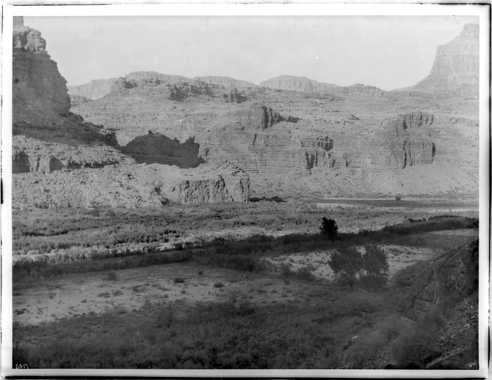 Lands farmed by the Havasupai Indians in Havasu Canyon, Grand Canyon, ca.1899 (CHS-3817)