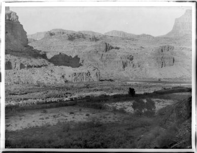 Lands farmed by the Havasupai Indians in Havasu Canyon, Grand Canyon, ca.1899 (CHS-3817)