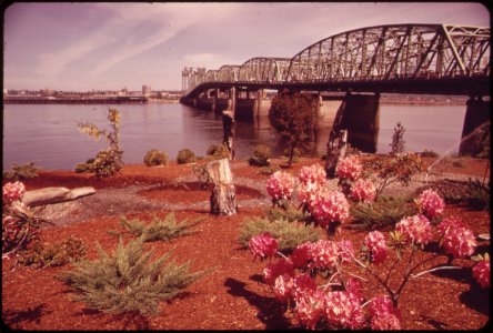 Landscaping-on-the-columbia-river-bank-near-the-interstate-bridge-between-oregon-and-washington-seen-from-the-terrace-of-the-thunderbird-motel-051973 4271591097 o