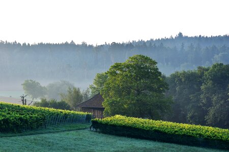 Nature distant view hill photo