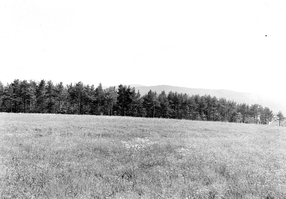 Landschaftsbild - CH-BAR - 3241214