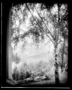Landscape, Rodin's garden, Meudon, France LCCN2006690446