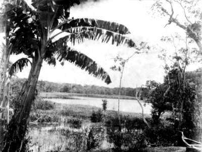 Landskapsbild. Lokal, Curicha, vid Rio Guaporé, Bolivia. Rio Guaporé - SMVK - 005893
