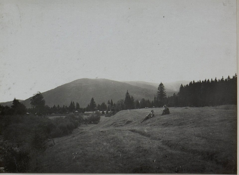 Landschaften im Raume Osmalodo Ost Galizien 1916 (BildID 15452897)