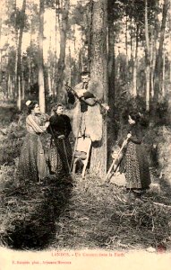 Landes - Concert dans la forêt