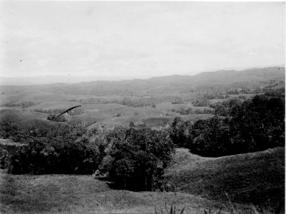 Landskapsbild mellan Tomata och Topakoe. Sulawesi. Indonesien - SMVK - 010814