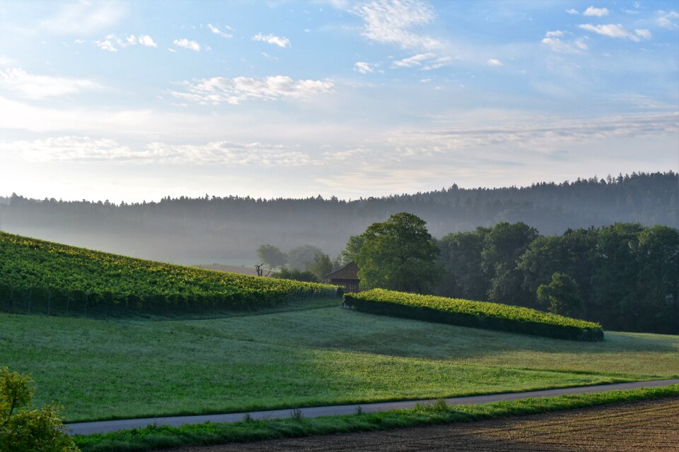 Nature distant view hill