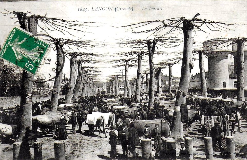 Langon - le champ de Foire 2