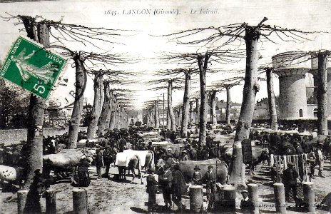 Langon - le champ de Foire 2