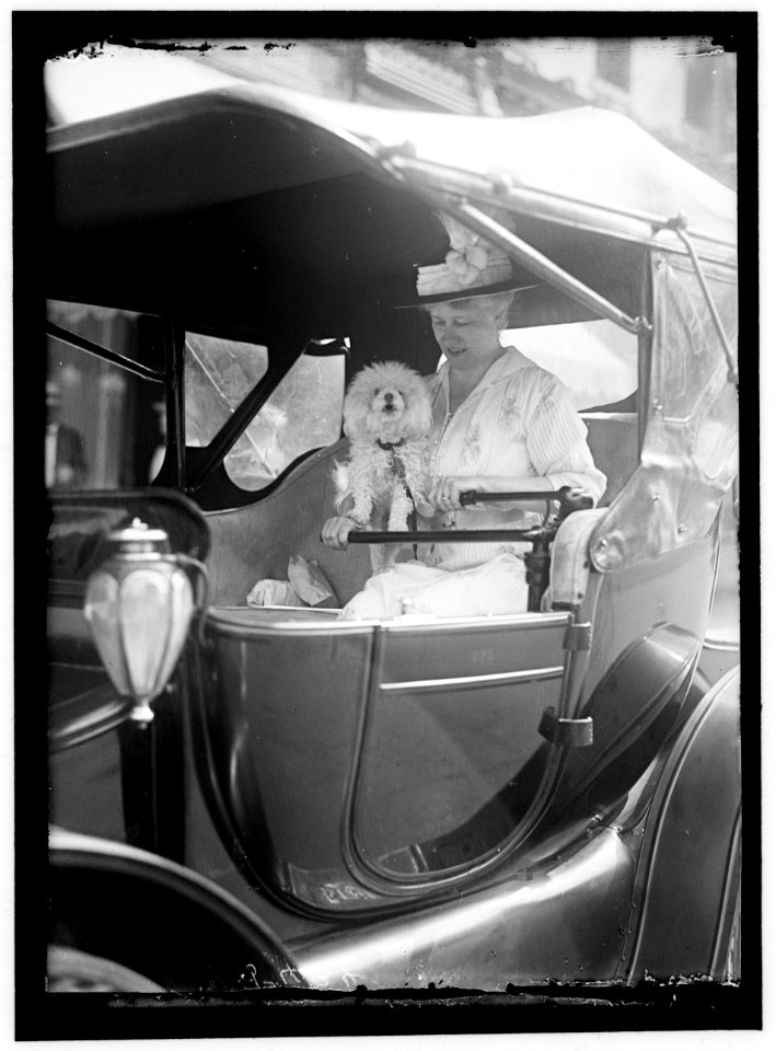 LANSING, MRS. ROBERT IN AUTO LCCN2016866526