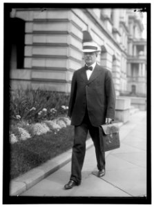 LANSING, ROBERT. SECRETARY OF STATE, 1915-1920 LCCN2016867165