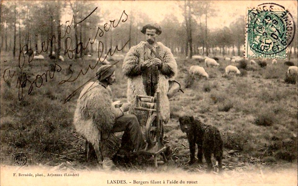 Landes - Berger filant 2