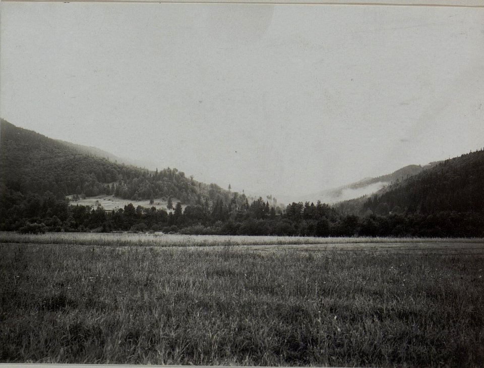 Landschaften im Raume osmalodo Ost Galizien 1916 (BildID 15452906)