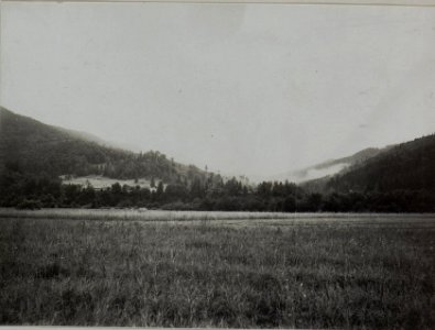 Landschaften im Raume osmalodo Ost Galizien 1916 (BildID 15452906)
