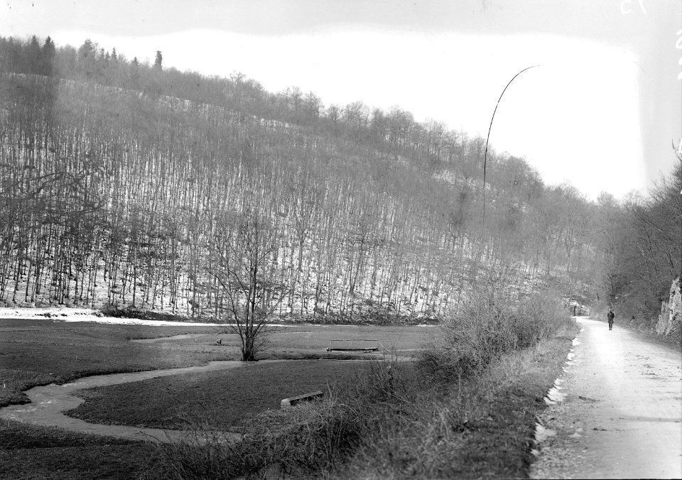 Landschaftsbild - CH-BAR - 3238273