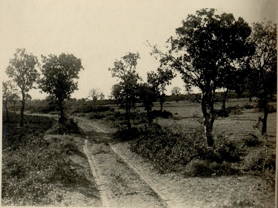Landschaftsbild in der Umgebung der Protzenstellung (BildID 15546731)