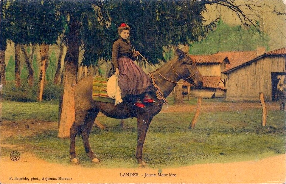 Landes - Meunière a