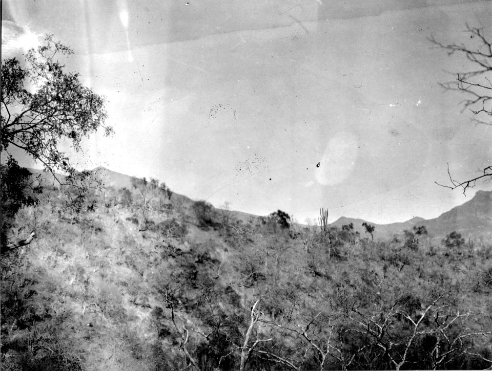 Landskapsbild. Lokal, Batanes vid Saipinafloden, Bolivia. Rio Saipina - SMVK - 005805
