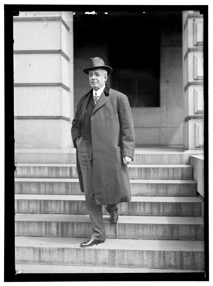 LANSING, ROBERT. SECRETARY OF STATE, 1915-1920 LCCN2016865348