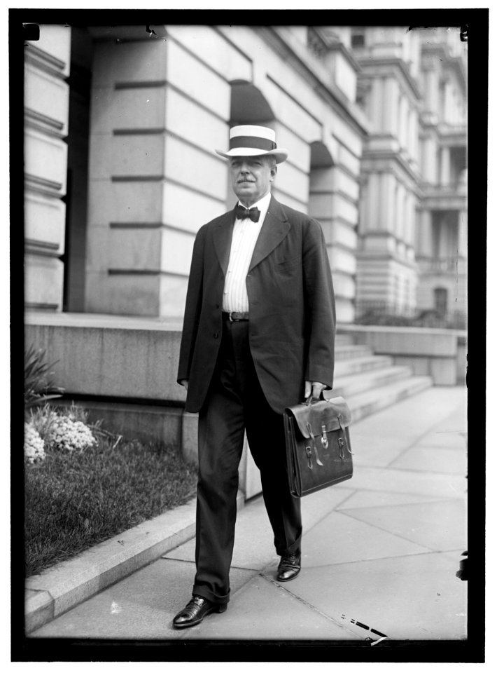 LANSING, ROBERT. SECRETARY OF STATE, 1915-1920 LCCN2016867166