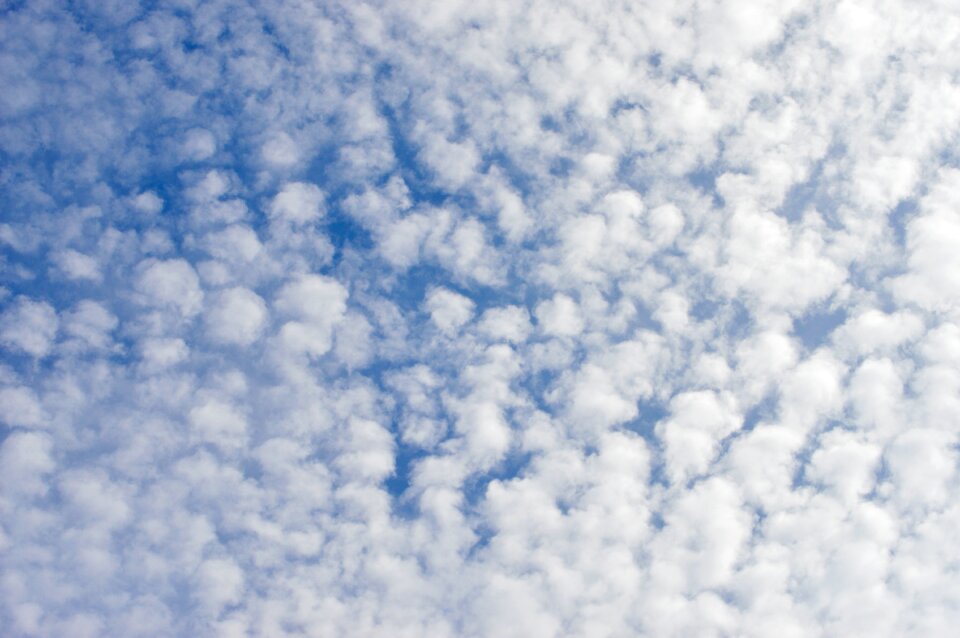 Cotton clouds cotton sky