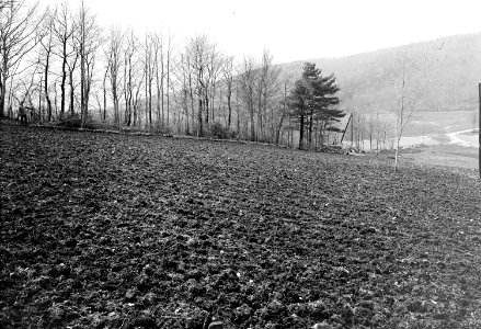 Landwirtschaftliche Arbeiten der Truppe - CH-BAR - 3241186