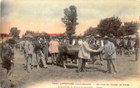 Lapouyade - Champ de Foire b