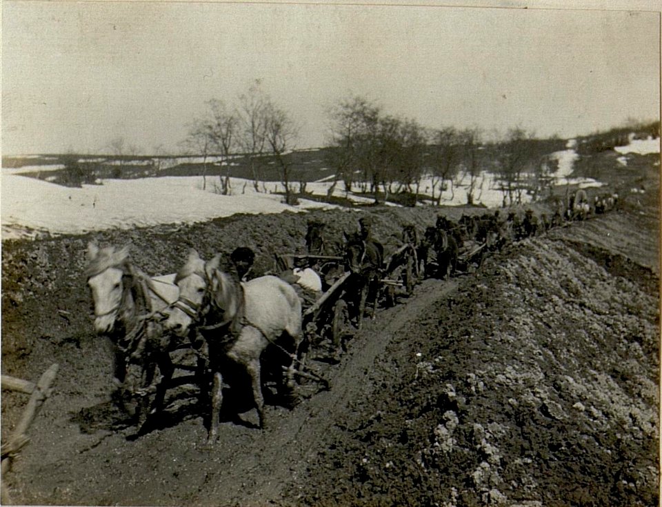 Landesüblicher Train. (BildID 15522785)