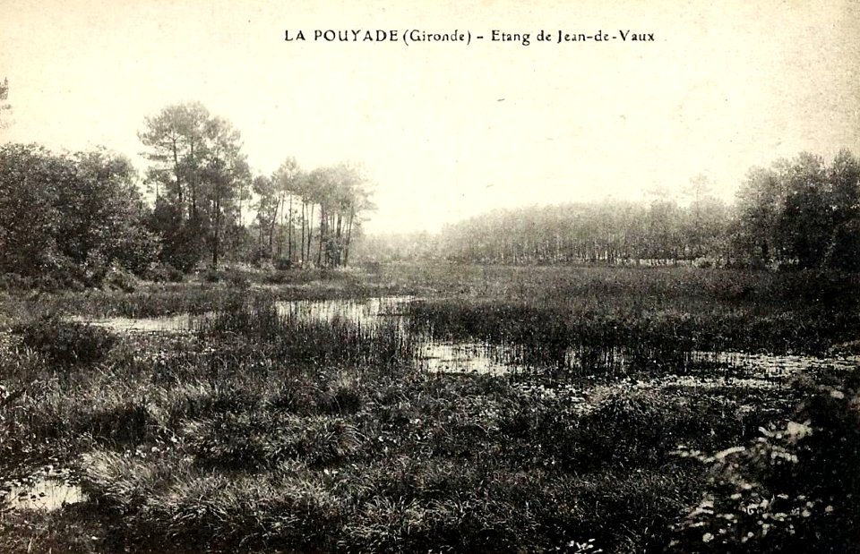 Lapouyade - Etang de Jean-de-Vaux 1