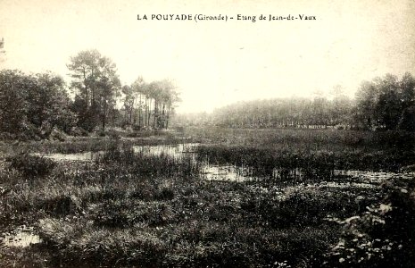 Lapouyade - Etang de Jean-de-Vaux 1