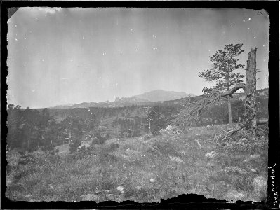Laramie Peak from near the head of the Big Cottonwood, Albany County, Wyoming. - NARA - 516854